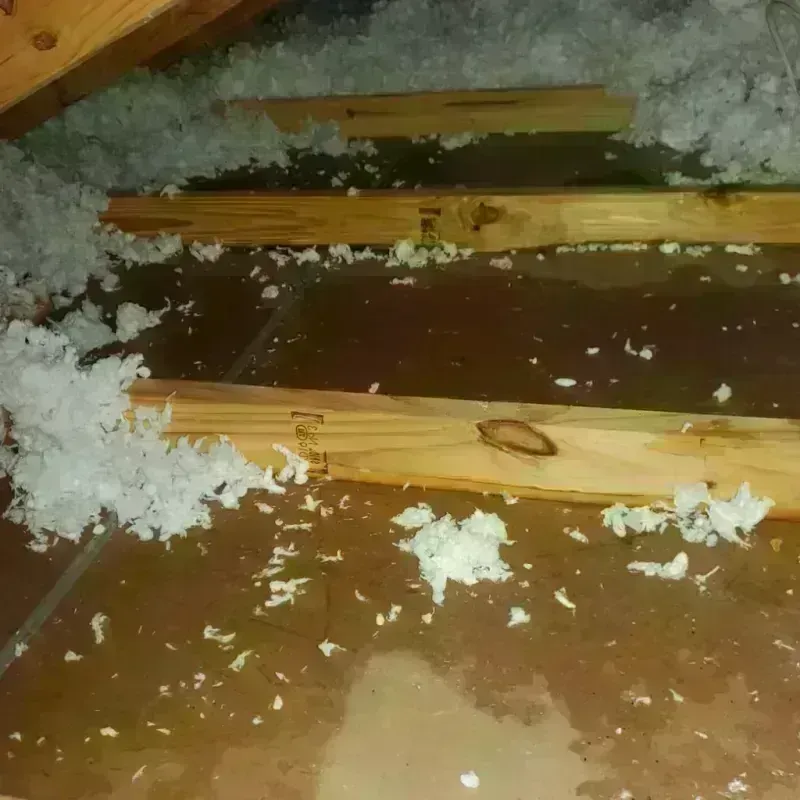 Attic Water Damage in Tybee Island, GA