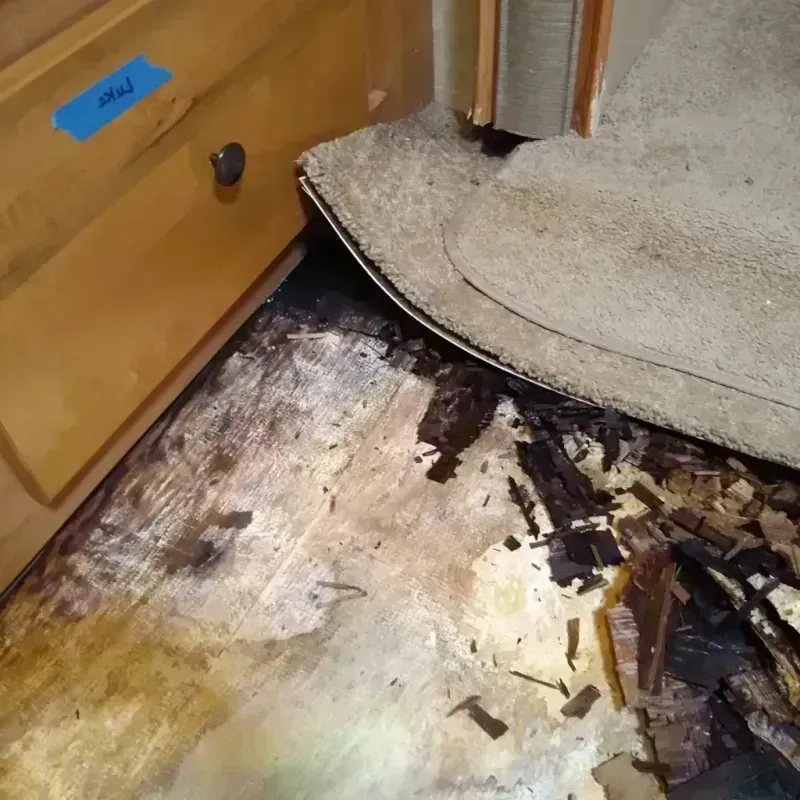 Best Wood Floor Water Damage Service in Tybee Island, GA